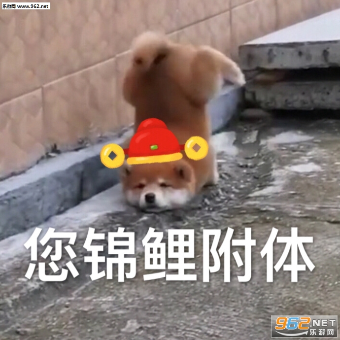 ���������������ݻ�ȥ�����ͼƬ