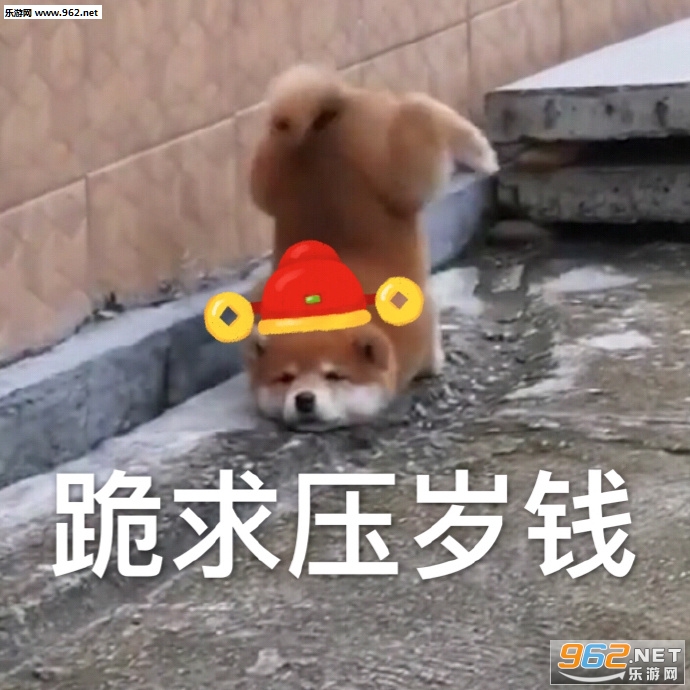 ���������������ݻ�ȥ�����ͼƬ