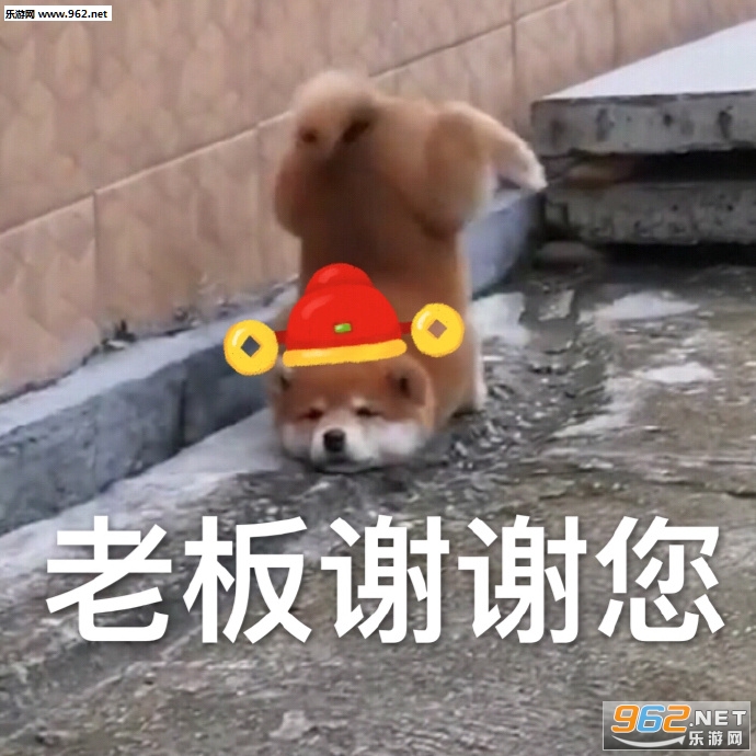 ���������������ݻ�ȥ�����ͼƬ