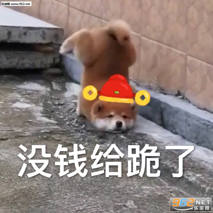 ���������������ݻ�ȥ�����ͼƬ
