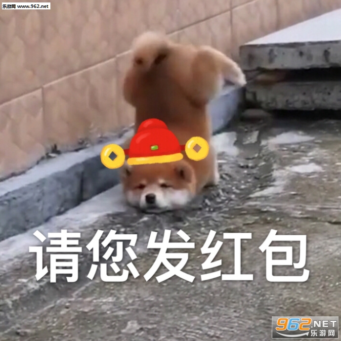���������������ݻ�ȥ�����ͼƬ