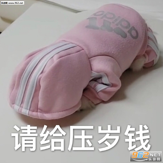 ���������������ݻ�ȥ�����ͼƬ