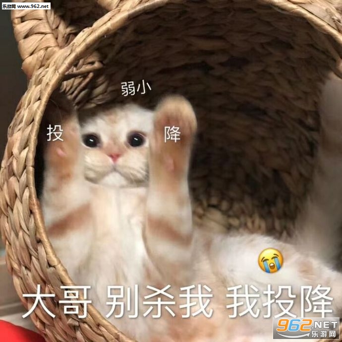 Ԥ����������ͼƬ