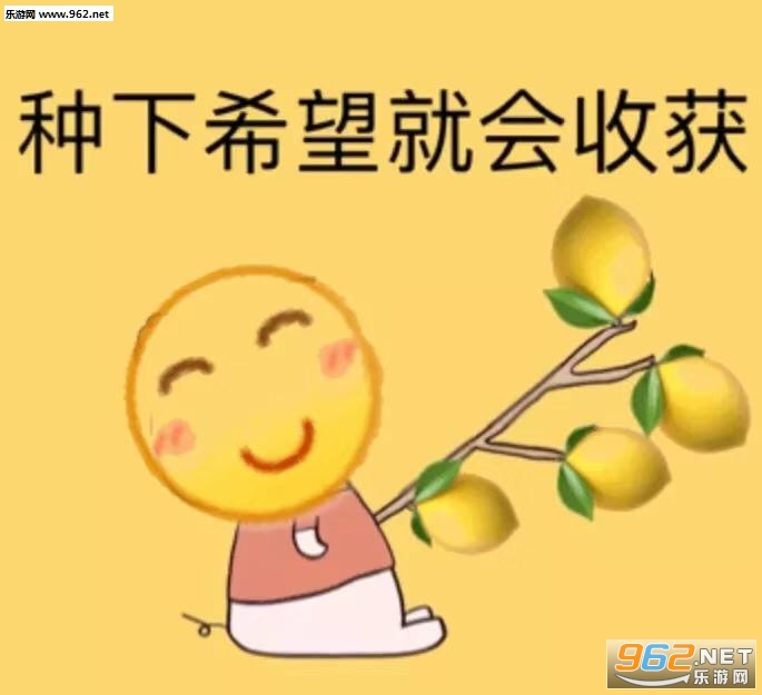 ����һ�ż������