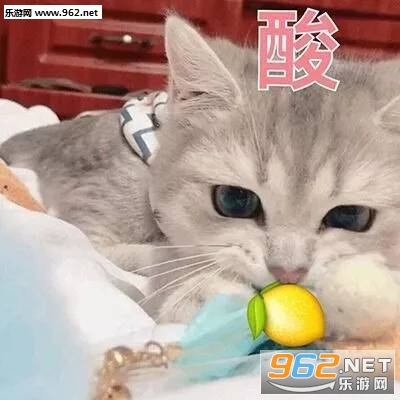ҡ�εĺ�Ʊ���΢�����
