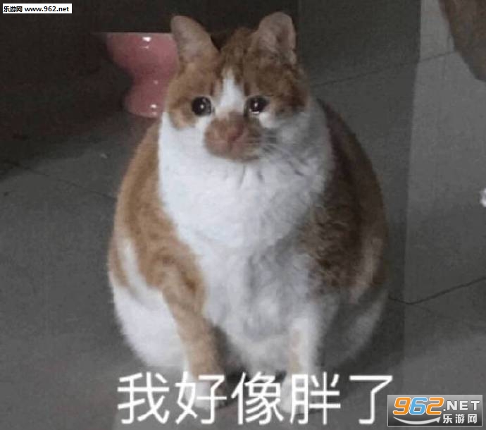 ҡ�εĺ�Ʊ���΢�����