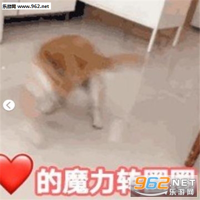 ����ħ��תȦȦͼ
