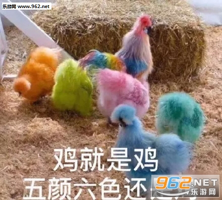��˵�����м������