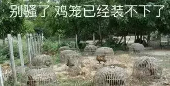 ��˵�����м������