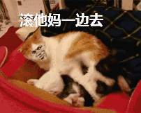 ������ɳ������
