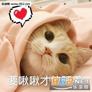 单身好单身好单身想跟谁好跟谁好表情包 单身好单身好单身想跟谁好跟谁好表情包