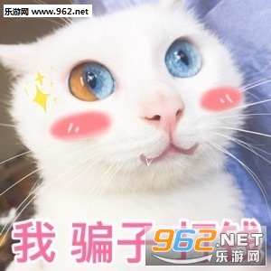 单身好单身好单身想跟谁好跟谁好表情包 单身好单身好单身想跟谁好跟谁好表情包