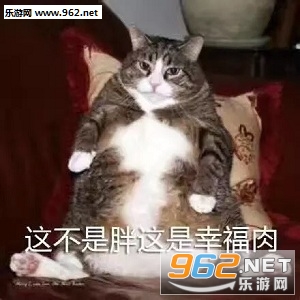 单身好单身好单身想跟谁好跟谁好表情包 单身好单身好单身想跟谁好跟谁好表情包