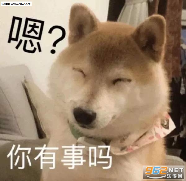 �㿴������������
