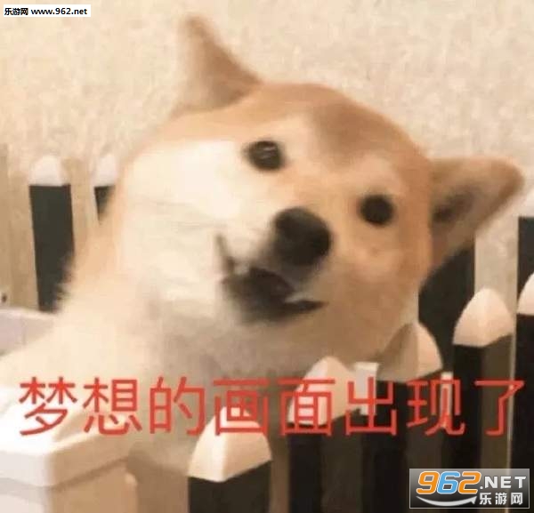 �㿴������������