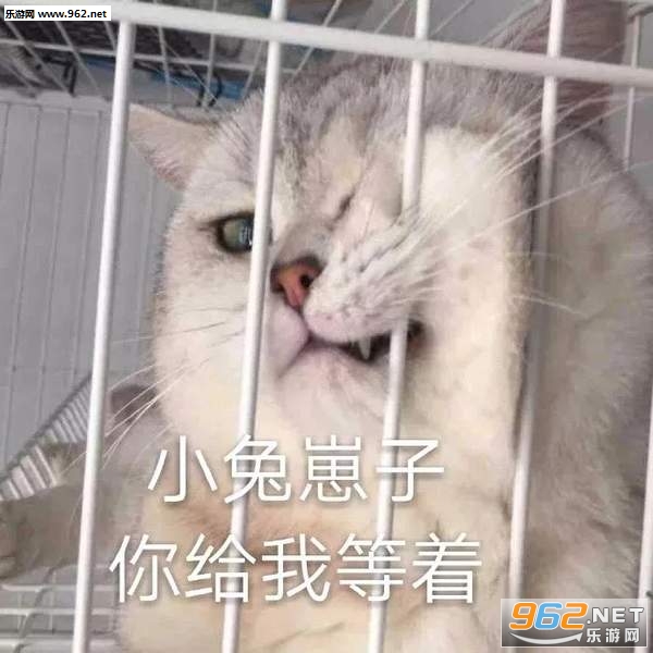 �㿴������������