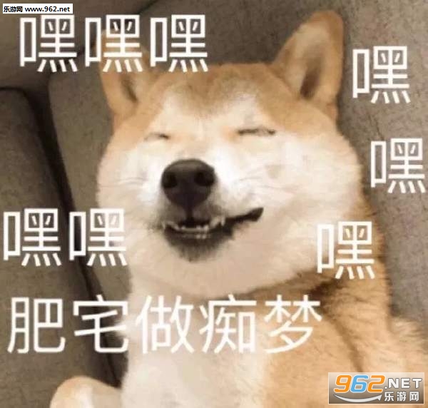 �㿴������������