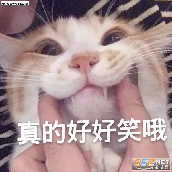 �㿴������������
