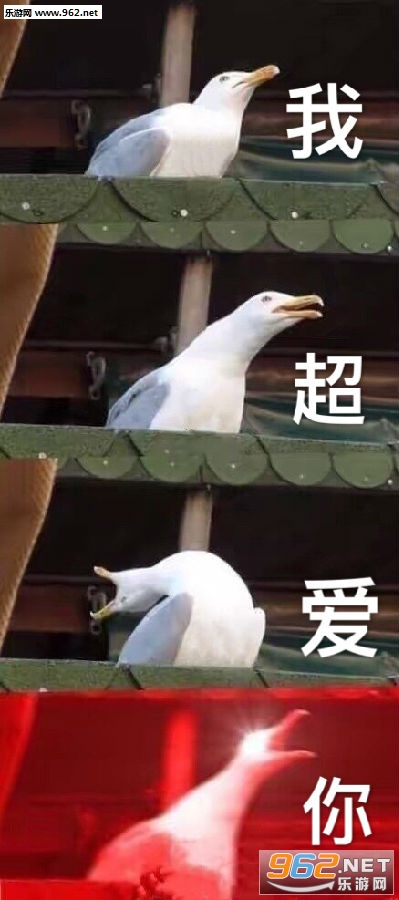 ��Ҫ��������ҿɲ����˰������