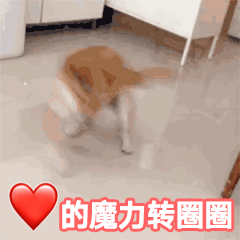 爱的魔力转圈圈沙雕动图