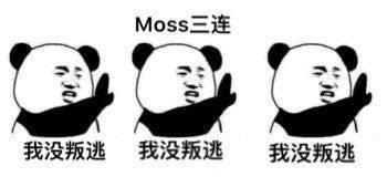 moss���������