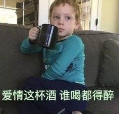 �����Ŀ�����������󲻵�è������