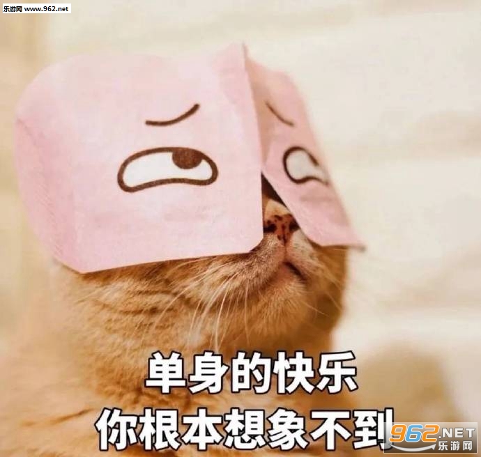 �����Ŀ�����������󲻵�è������