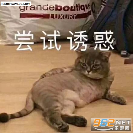 ������Ѫ������������