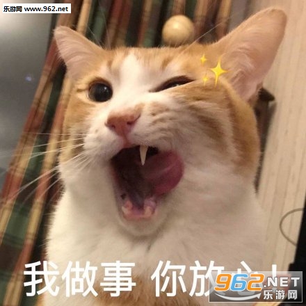 �����Ϲ�û�취�����