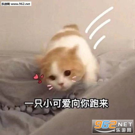�����Ϲ�û�취�����