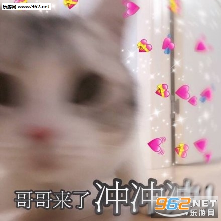 �����Ϲ�û�취�����