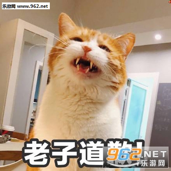 ��è��Ǹ���ֱ����