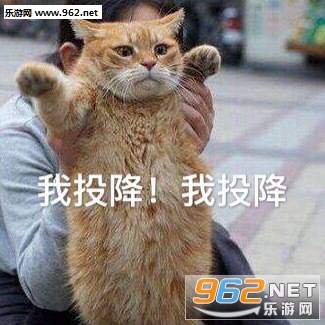 ��è��Ǹ���ֱ����