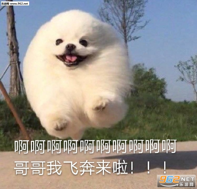 ������׷�Ǳ����