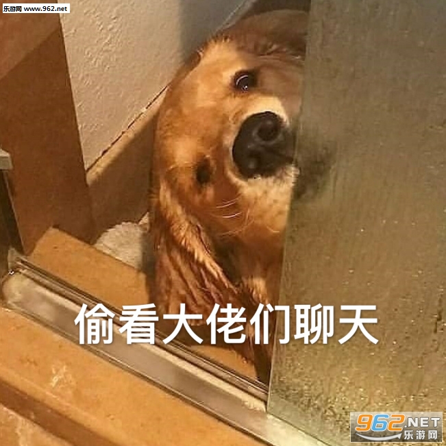 �ӹ�ͷ������������ͼƬ
