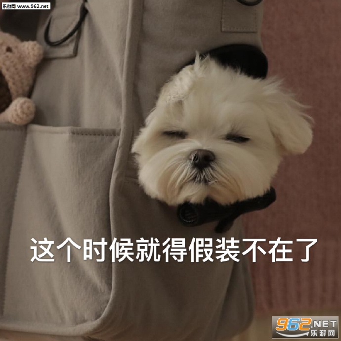 �ӹ�ͷ������������ͼƬ