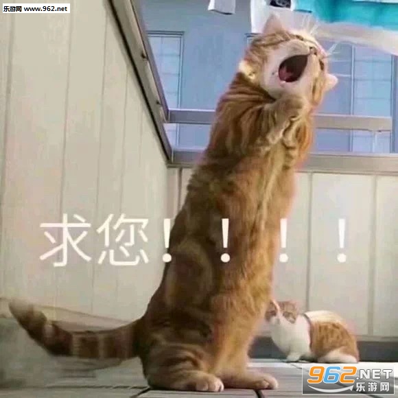 ûǮ�����������ܲ������