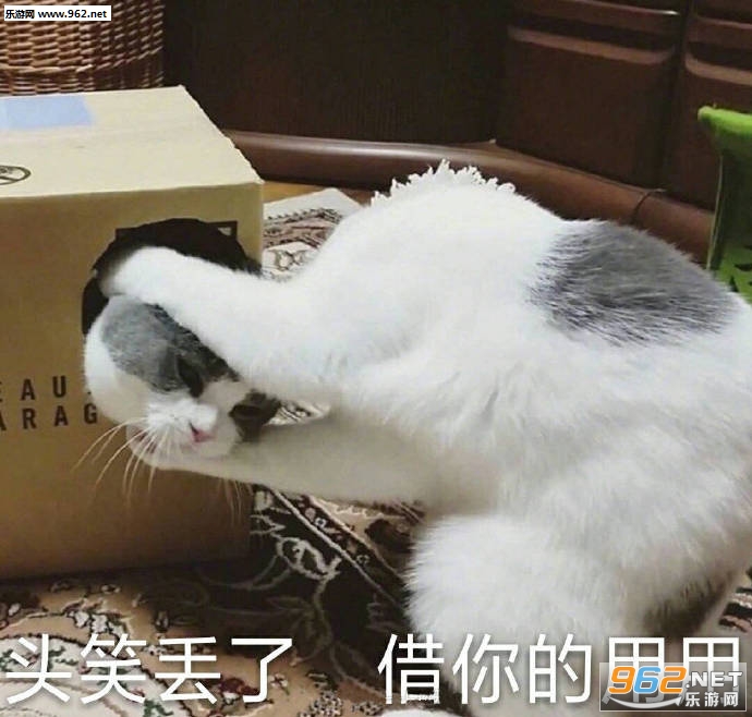 һ����Ѽ�����