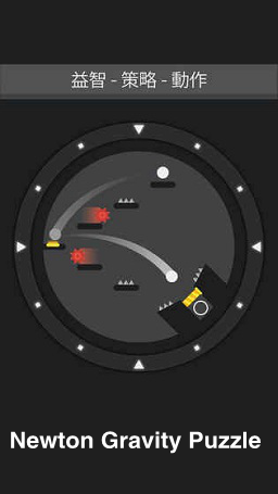 Newton Gravity Puzzle