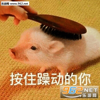 ���ҽ������ɳ��������