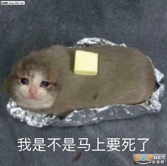 ���ؾ�����Ҫ�������