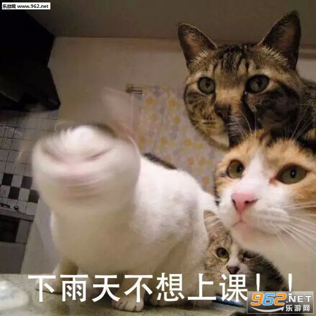 ����һ����ʤ�����¹������
