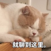 �������ϵ�б����