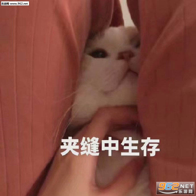 ˯�˱𳳳������
