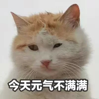 �������챿��ϲ�����˱����