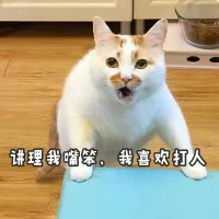 �������챿��ϲ�����˱����