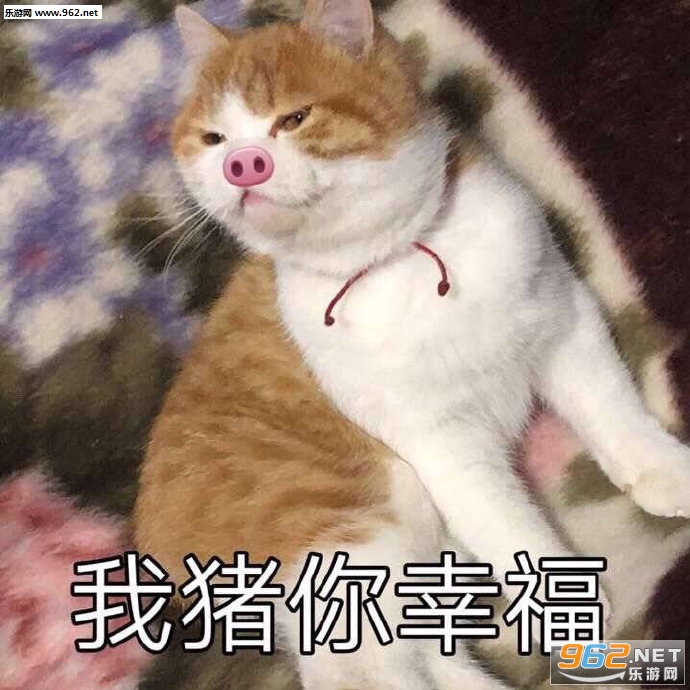 Ԥ����������ͼƬ��ͼ0