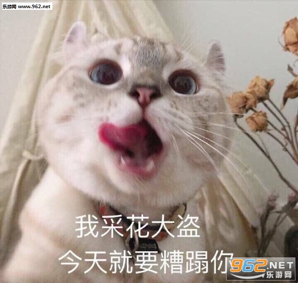 ҡ�εĺ�Ʊ���΢�������ͼ1