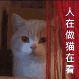 ����������������ͼƬ��ͼ6