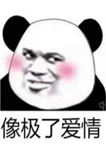 ���˰�������